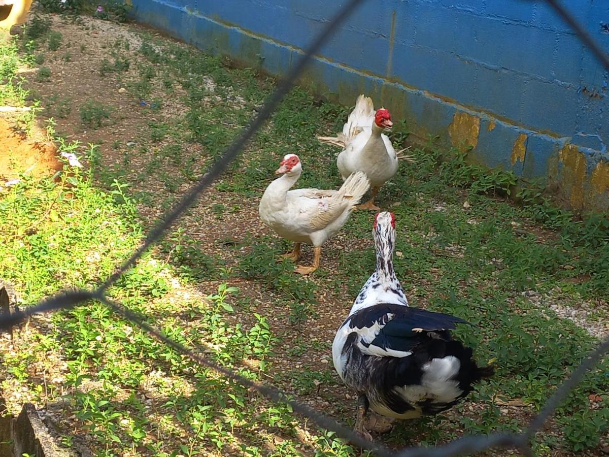 Comunidade Anuncia-Me Guaratinguetá Exterior foto